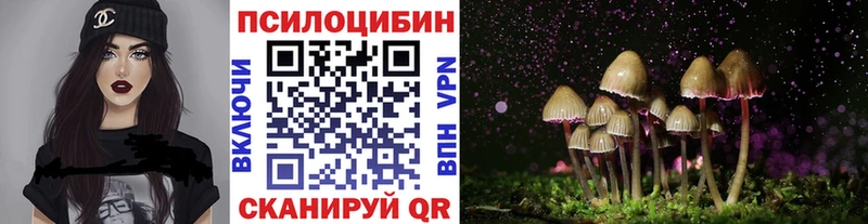 Псилоцибиновые грибы мицелий  сколько стоит  Онега 