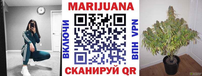 Бошки марихуана сатива  Онега 